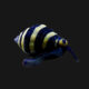 Bumble Bee Snail